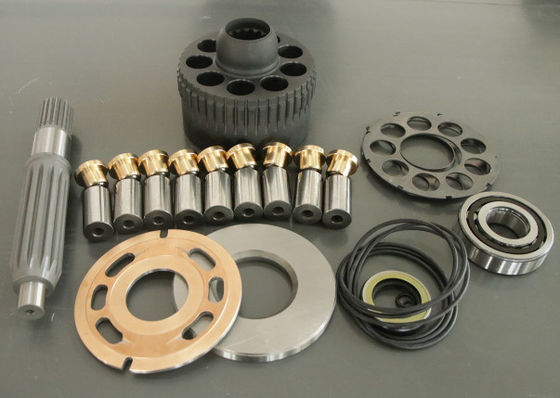 Pompa a pistoni Kawasaki M5X80 M5X130 M5X180 M5X250 Ricambi